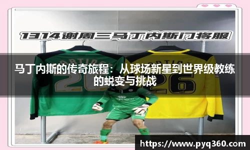 333体育官网
