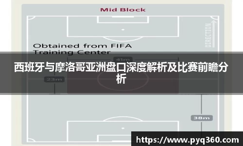 333体育