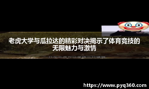 bg大游平台