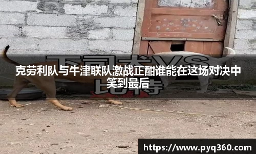 BG大游集团